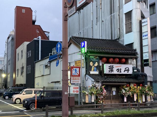 葉牡丹、再開!