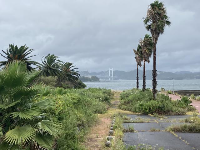「夢の跡」にもほどがある