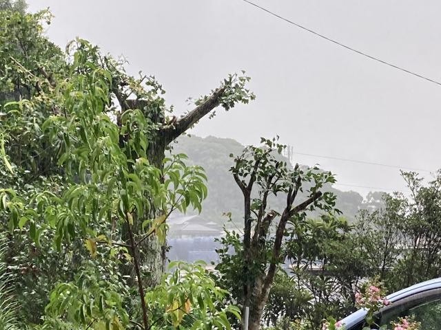 雨に烟る愛宕山