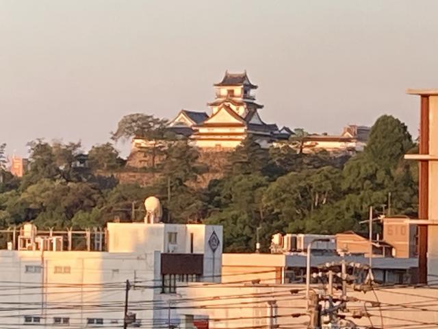 真夏の夜のおマヌケ男子高校生