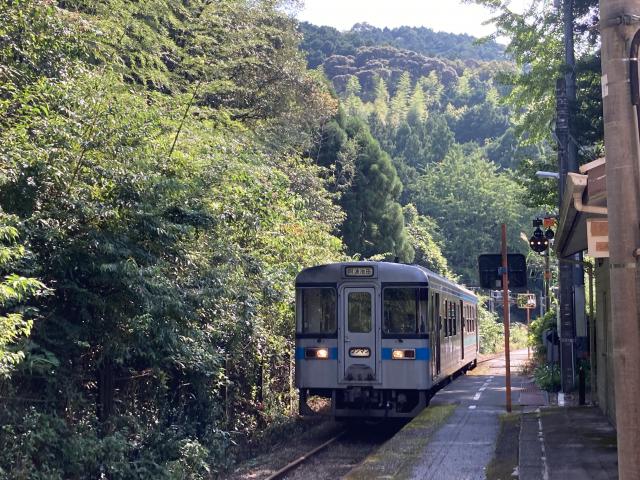 ツクツクボウシの新改駅