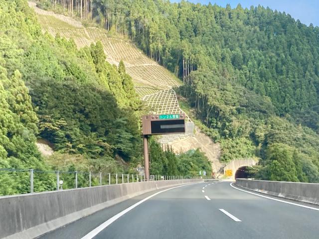 1225年の時空を超えて