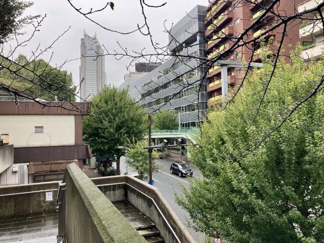 新宿十二社の池は、ここに