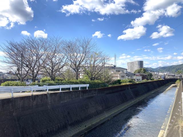 おかしな兆民先生、田植えを見ながら飲む