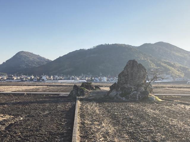 屋頭のチャート
