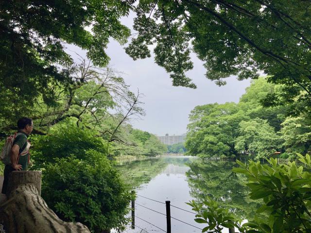 新宿から井の頭池へ
