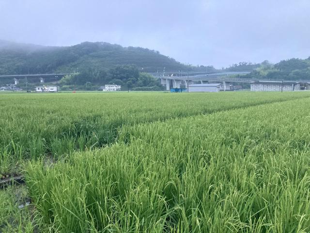 「野」考