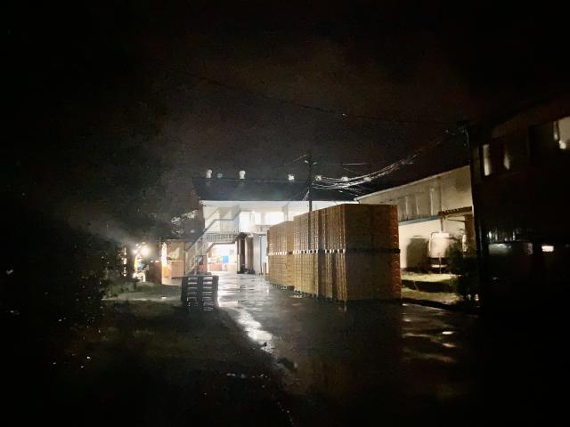 時雨蛤