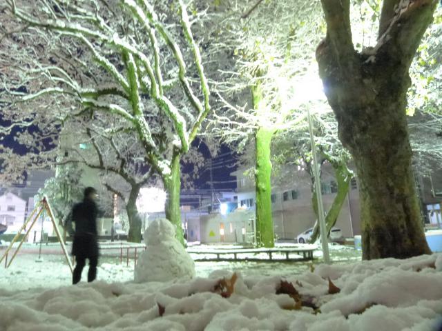 雪の想いで