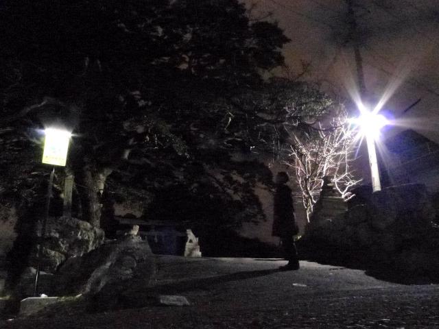 上岡山は、命山