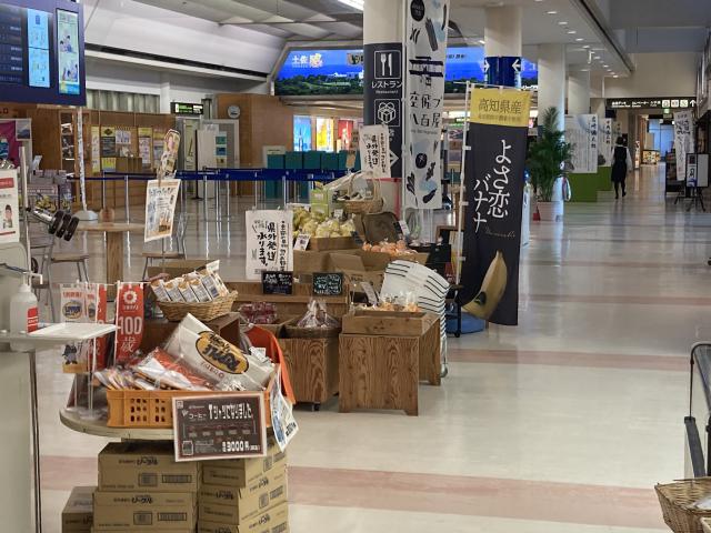 高知空港に国際線ターミナル?