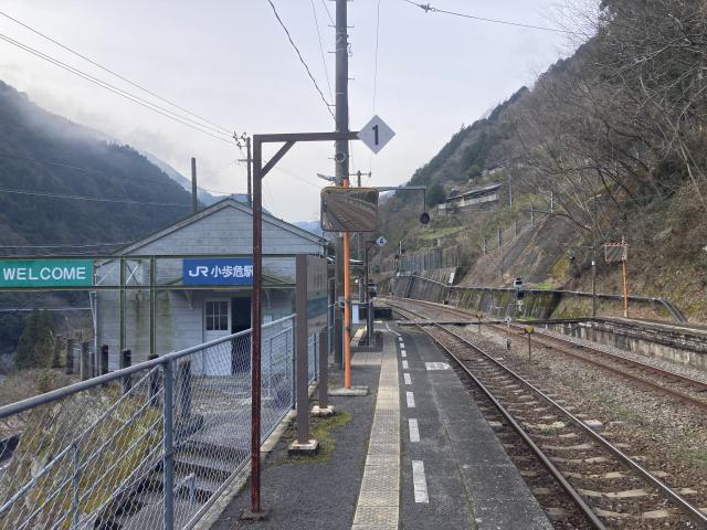 ホケの朝