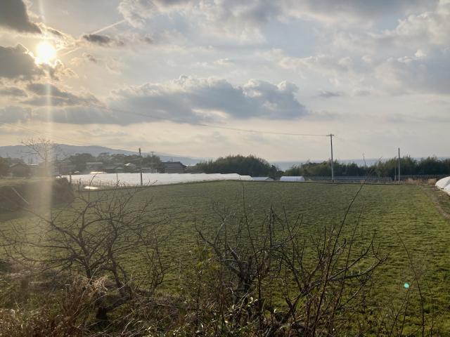 隆起した更新世段丘の美しい風景