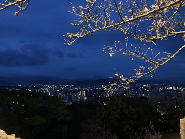 春や昔 十五万石の 城下哉