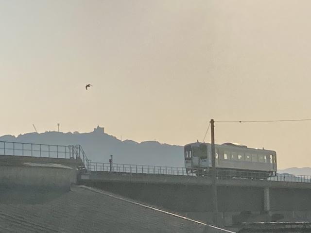 妄想広がる物部川界隈の、朝