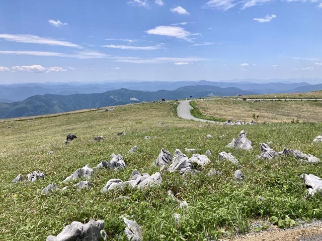 天狗高原の石灰岩と植生
