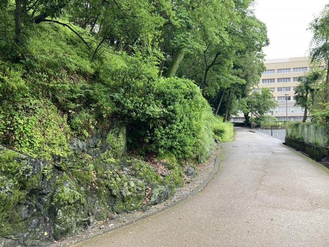蛇紋岩、花崗岩、ワイン、土壌