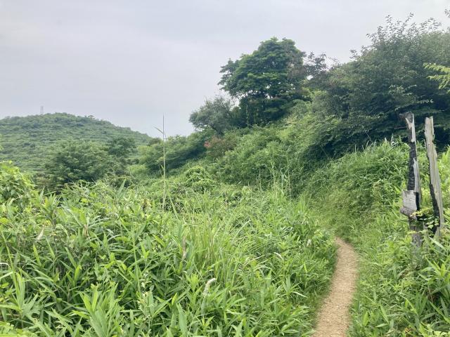 高見山と三原兎弥太
