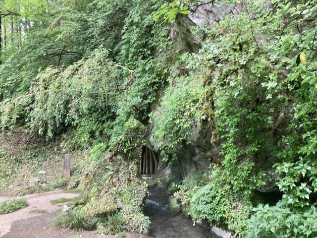 そして菖蒲洞