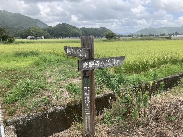 清瀧さんと青龍寺と大綱と返盃