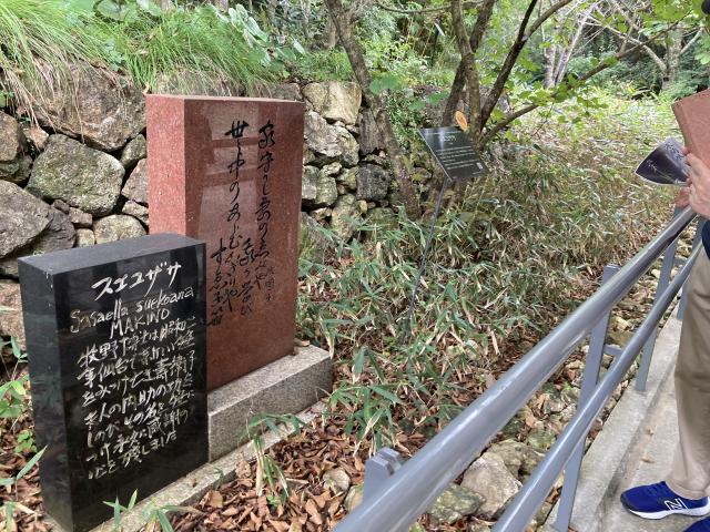 賑わう牧野