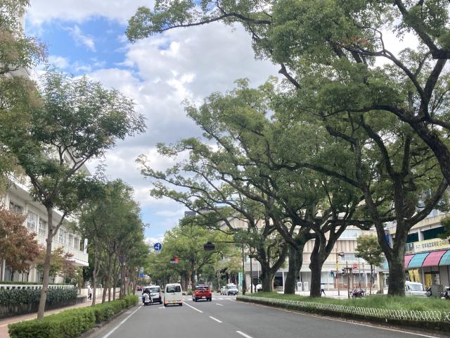 400年前から広かった