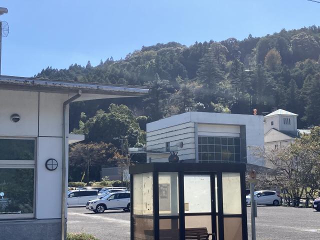 あんぱんに期待するよね