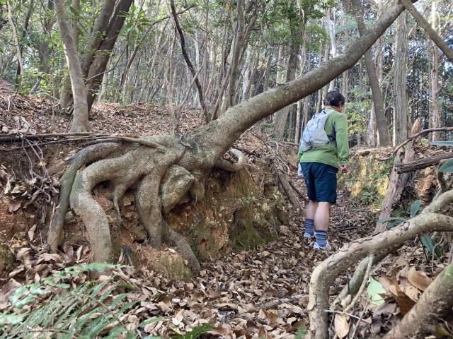 久々の鉢伏山、戦争の痕跡