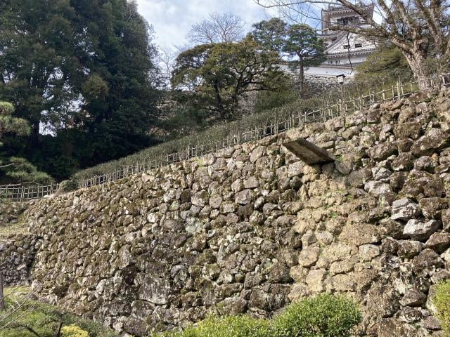 石垣マニアの発見