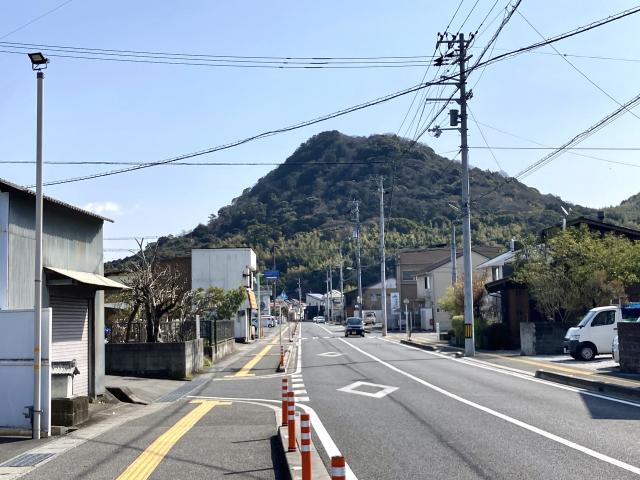 富士山、エトナ山、噴火と地震
