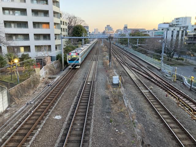 モース、魅惑のワンダーランド
