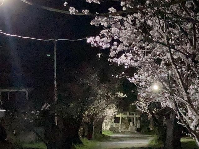 「花之丞」の予感