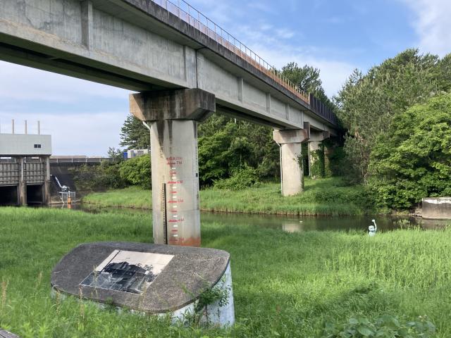 安芸線の橋脚とサイクリングロード