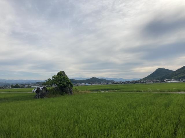 楽しいUFO