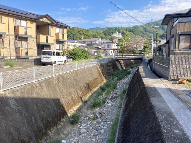 よさこいとオリンピックの日々