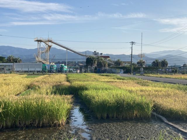 プールと滑り台と社会環境と地球環境
