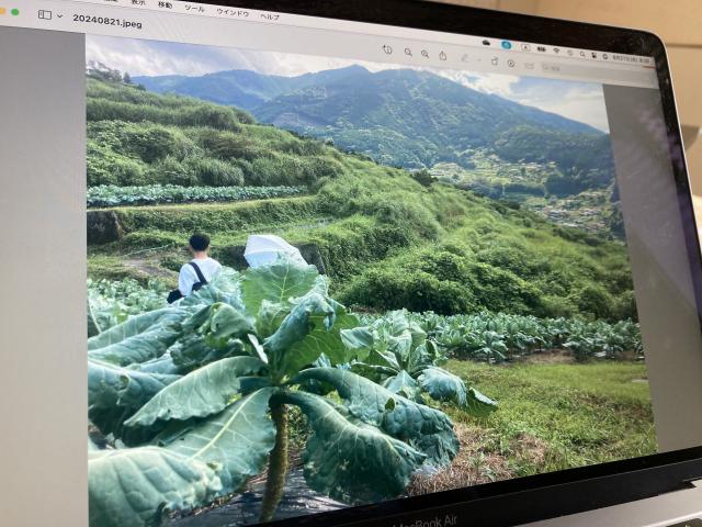 怒田の元気