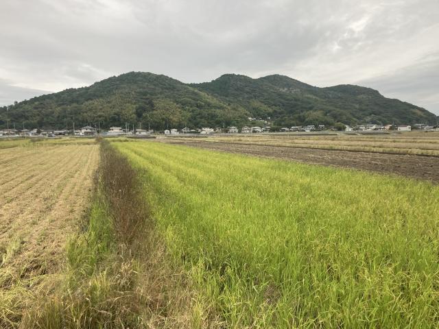鉱山と社会