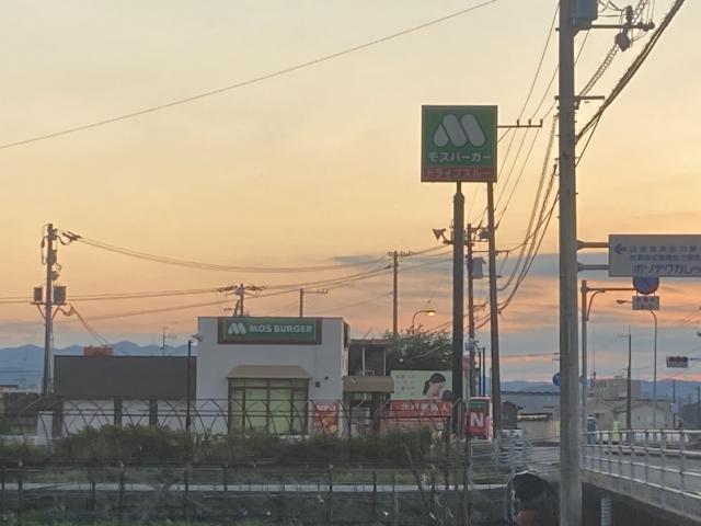 サイゼリヤの謎とネット情報