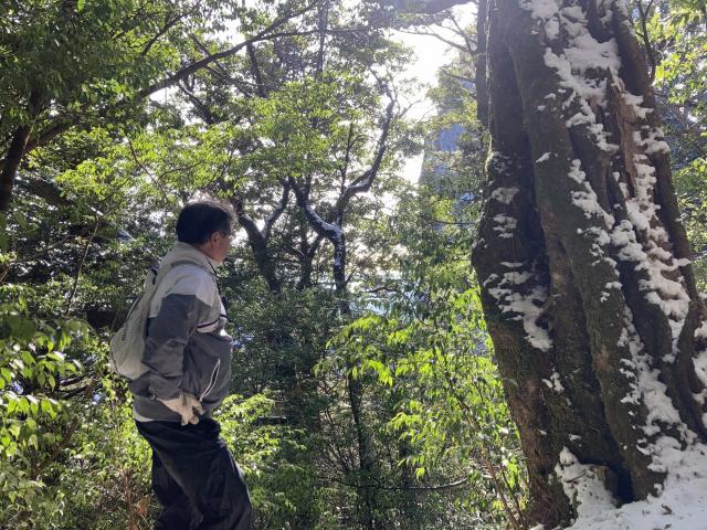 工石山、妙体岩、雪見RUN