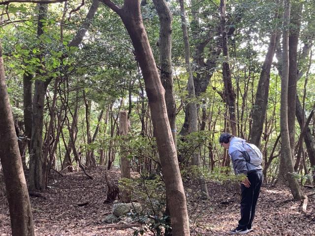 御神体山、神奈備山の、10年