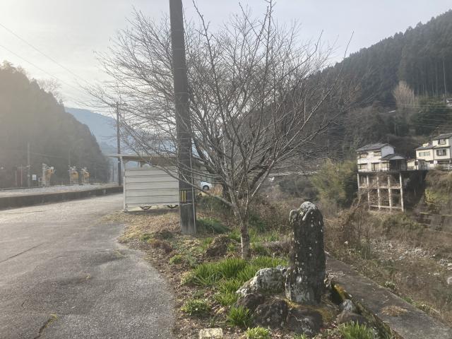 「記念櫻」碑