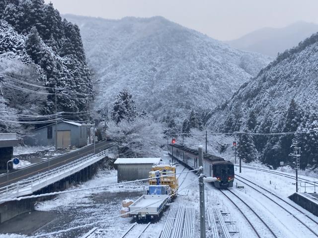 雪の中の南風