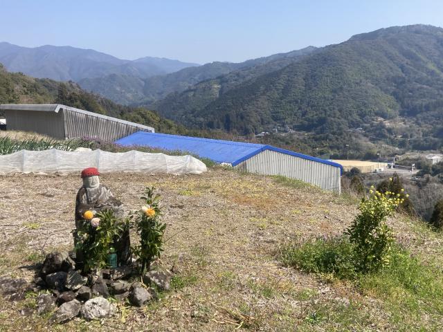 久々の兼光地蔵さんは、きれいにされてました
