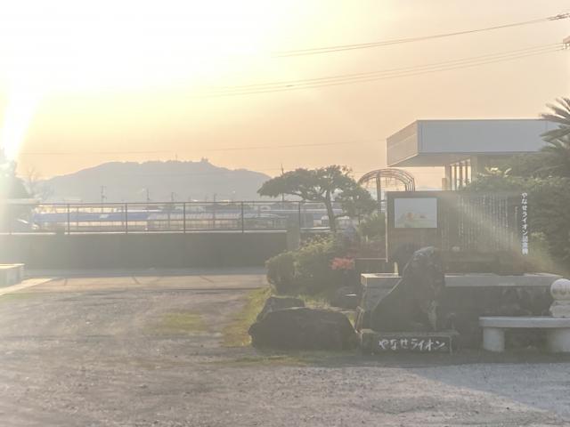 やなせライオン