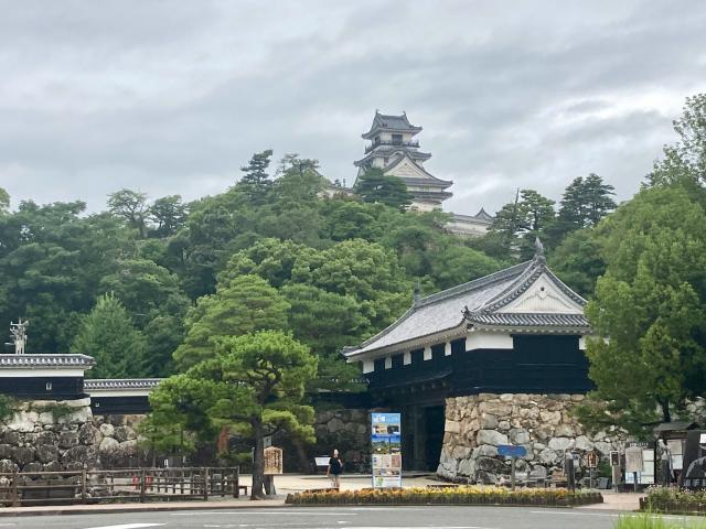 彦根城と高知城、なぜ天守は残った