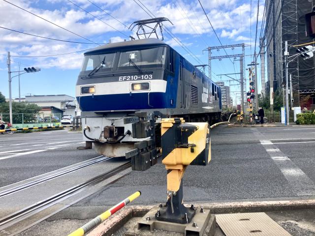 新金貨物線、LRT、BRT