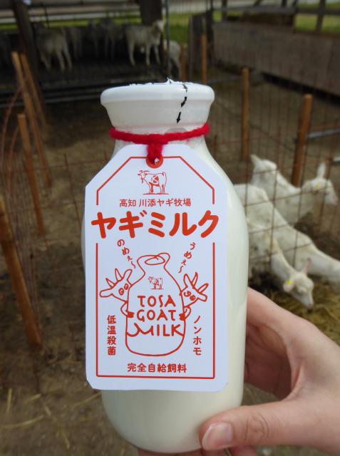 ヤギミルク、発売開始しました!